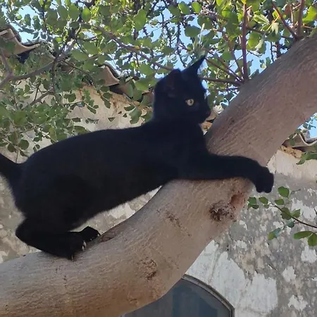 Dom wakacyjny Il Baglio Di Kharrub Rural *