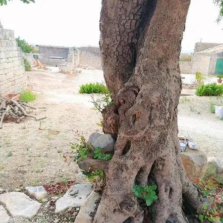 Il Baglio Di Kharrub Rural Guest House