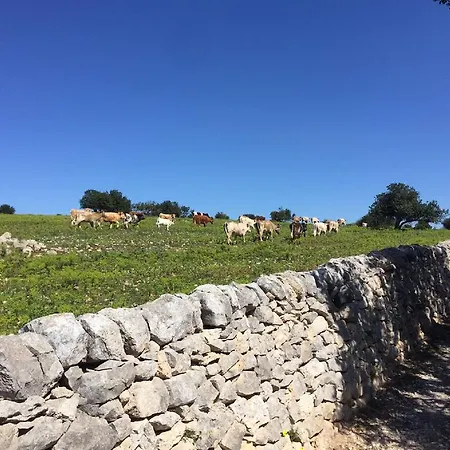 Il Baglio Di Kharrub Rural Guest House Ferienhaus Pozzallo